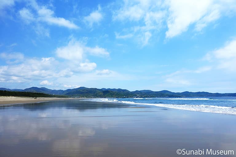 砂浜美術館